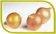 frische Lebensmittel frische Lebensmittel