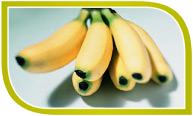 Banane Banane